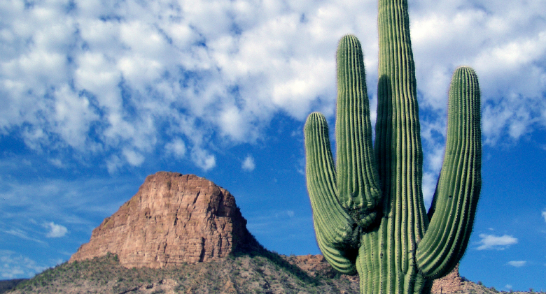 Desert Soulscape, Silence, and Poetry