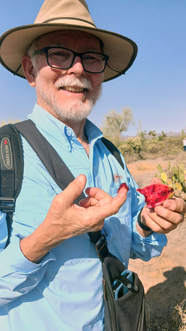 David Denny tastes ripe saguaro fruit.