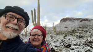 Desert snow