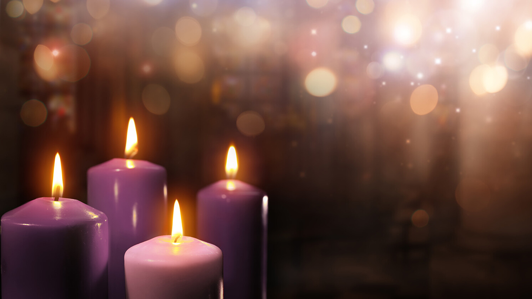 Christmas Joy and Gladness